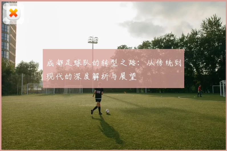 成都足球队的转型之路：从传统到现代的深度解析与展望